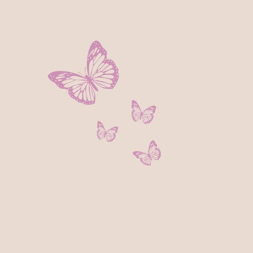 Program Image